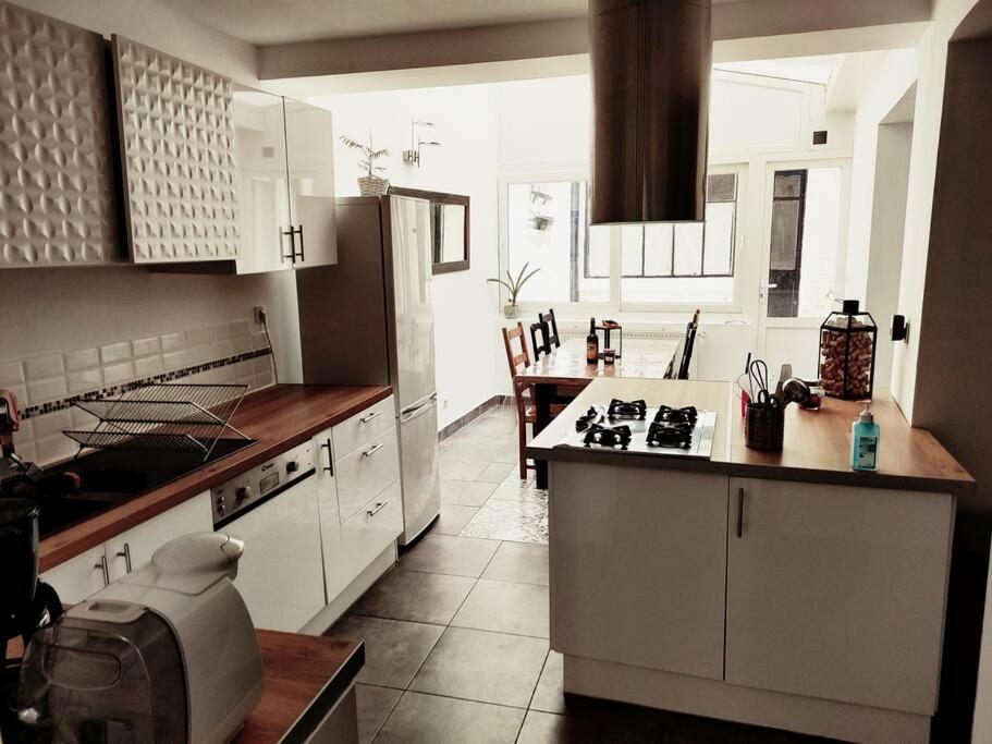 Superbe Maison Renovee Avec Agreable Jardin Sainte-Catherine  Экстерьер фото